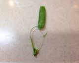 お弁当に♪＊スナップエンドウでハート？＊作り方1写真