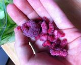 涼やか＊夏のきゅうりデトックスウォーター作り方4写真