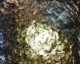 ベーコンエッグおにぎらず作り方10写真