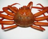 出汁が最高♪ずわいがに(せこがに)味噌汁作り方1写真