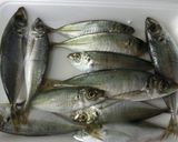 小鰺の干物の作り方☆簡単☆保存☆節約作り方1写真