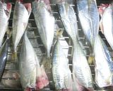小鰺の干物の作り方☆簡単☆保存☆節約作り方3写真
