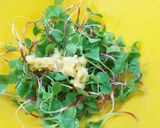 塩レモンで簡単♪まびき菜でやみつきサラダ作り方1写真