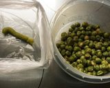 ノンオイルでわさび豆風 大人のおやつ作り方1写真
