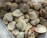 ホンビノス　保存方法　完全保存版作り方8写真