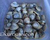 ホンビノス　保存方法　完全保存版作り方4写真