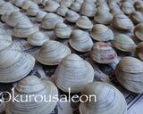 ホンビノス　保存方法　完全保存版作り方10写真