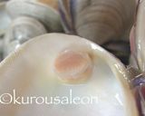 ホンビノス　保存方法　完全保存版作り方20写真