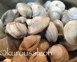 ホンビノス　保存方法　完全保存版作り方25写真