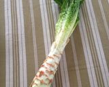 茎レタスとベーコンのきんぴら作り方1写真