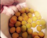 おばあちゃんの梅干しの作り方2種類作り方5写真
