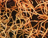 プリッツみたいな揚げ麺☆あんかけ焼きそば作り方6写真