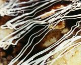 節約◆キャベツのいか焼き◆作り方14写真