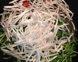 子供大好きカレー味豆苗もやし炒め作り方5写真
