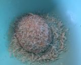 大豆カツ ☆ かんたん作り方3写真