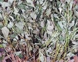 ドクダミ茶作り方1写真
