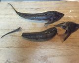 コチ炒飯 ☆魚料理 マゴチ ネズッポ作り方2写真