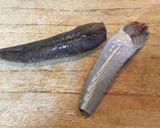 コチ炒飯 ☆魚料理 マゴチ ネズッポ作り方3写真