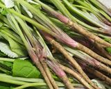 間引きゴボウが塩昆布で♪ほっとする煮物作り方1写真