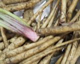 間引きゴボウが塩昆布で♪ほっとする煮物作り方2写真