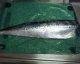 サゴチ（サワラ）の昆布じめ炙り刺作り方1写真