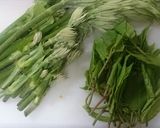 伸びたウド、イタドリ等の旨い油炒め＾＾）作り方1写真