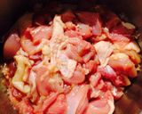 米粉チキン☆ジューシーでカリッとうま〜い作り方1写真