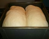 全粒粉30％×ココナッツ入りヘルシー角食作り方11写真