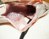 ポン酢で♪ほうぼうお刺身【捌き方有】作り方1写真