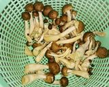 イカと野菜のピリ辛味噌炒め作り方2写真