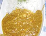 カレー研究会報告！簡単日本最古のカレー！作り方30写真