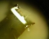 いらっしゃ～い♪我が家は☆握り寿司屋さん作り方1写真