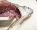 あじ刺身・あじ姿造り【捌き方・盛付方有作り方5写真