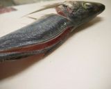 あじ刺身・あじ姿造り【捌き方・盛付方有作り方13写真