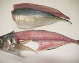あじ刺身・あじ姿造り【捌き方・盛付方有作り方15写真