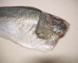 あじ刺身・あじ姿造り【捌き方・盛付方有作り方18写真
