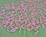おうちで簡単☆手作り生パスタ作り方7写真