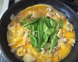春を感じる季節飯✿絹さやドーンと他人丼作り方7写真