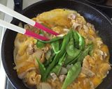 春を感じる季節飯✿絹さやドーンと他人丼作り方8写真