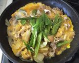 春を感じる季節飯✿絹さやドーンと他人丼作り方10写真