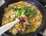 春を感じる季節飯✿絹さやドーンと他人丼作り方9写真