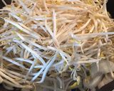 もやし大量！じゃがいも入りカレー焼きそば作り方3写真