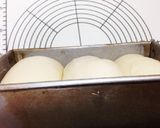 天然酵母パン、ゴールデンヨット作り方6写真