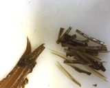 採れたて生わかめの簡単な処理の仕方⌒☆作り方6写真