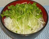 アジの蒲焼丼作り方5写真