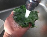 超簡単に長持ちする保存法◆大葉作り方1写真
