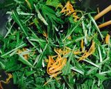 水菜の塩昆布和え作り方2写真
