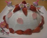 ♪春のズコット☆お雛様♪作り方5写真