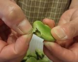 ☆ 母の味！そら豆のポタージュ作り方2写真