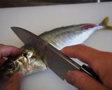 基本のアジの三枚おろし作り方5写真